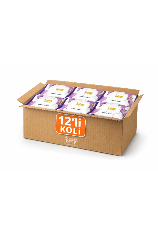 ıslak mendil pro 120 li